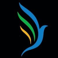 Chance Media Content Strategy